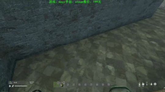 dayz(老司机的个人修养） 2020-03-10 17点场