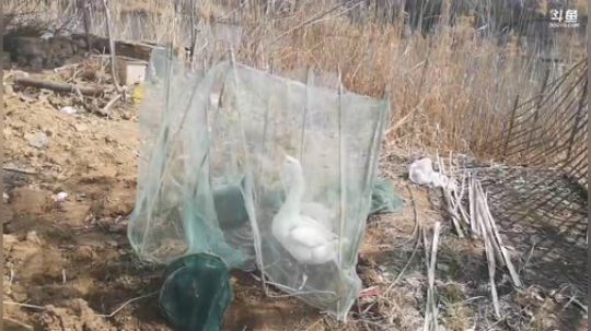 科头溜子发布了一个斗鱼视频2020-03-11
