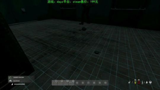 dayz(老司机的个人修养） 2020-03-09 23点场