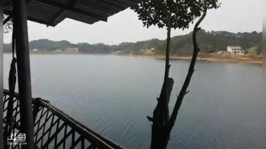 去看看新基地 2020-03-12 15点场