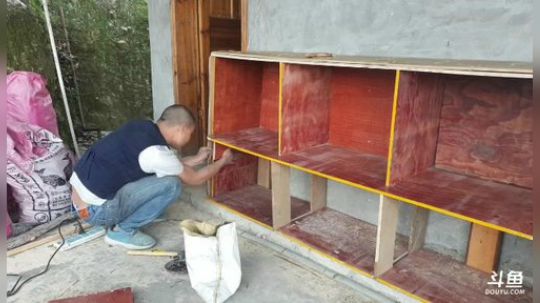 去看看新基地 2020-03-12 16点场