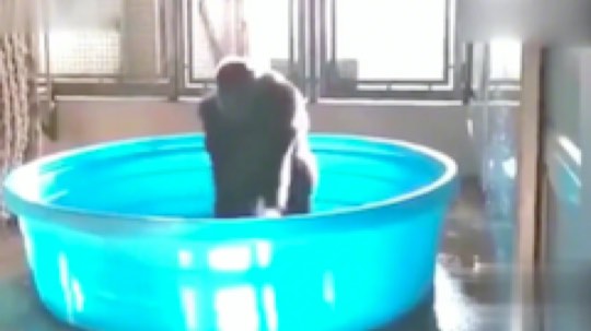 神棍老师麦迪文发布了一个斗鱼视频2020-03-13