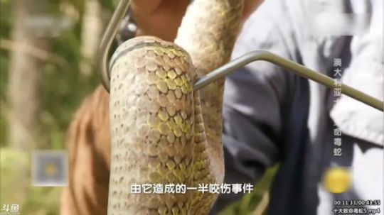 静思世语发布了一个斗鱼视频2020-03-13