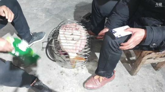 去看看新基地 2020-03-12 21点场