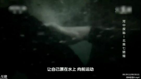 户外遛狗王飞哥发布了一个斗鱼视频2020-03-14