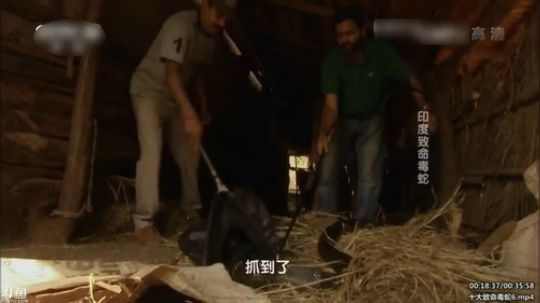 护法惊丶发布了一个斗鱼视频2020-03-14