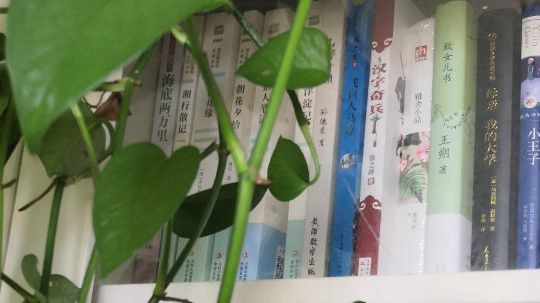 茅屋为秋风所破歌