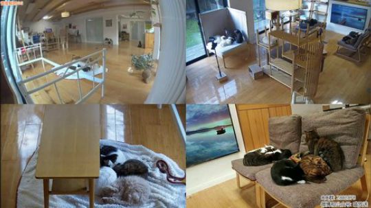 静思世语发布了一个斗鱼视频2020-03-15