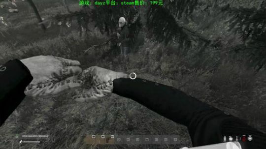 dayz(僵尸末日生存指南） 2020-03-15 17点场