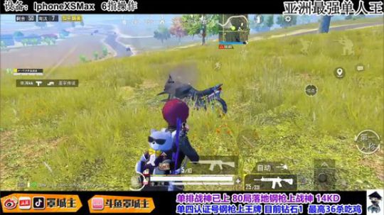 赛季初单人四排钻石33杀吃鸡