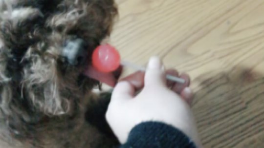 天真的喜娃发布了一个斗鱼视频2020-03-16