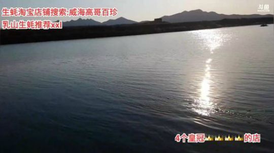 龙马精神丶老狼哥发布了一个斗鱼视频2020-03-17