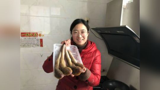 大梅小镇_大梅捡了好多生蚝,赶海发现新地方真不赖,带回家给川子做