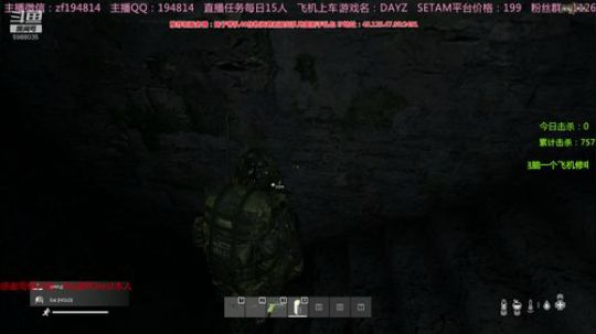 10年DAYZ技术主播有问题问主播 2020-03-17 02点场