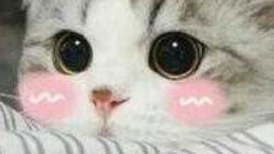 就是赢不了系列～难受