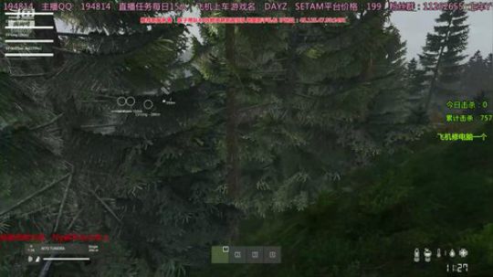 10年DAYZ技术主播有问题问主播 2020-03-17 00点场