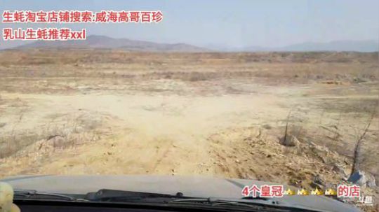 西北老狼哥哥发布了一个斗鱼视频2020-03-17