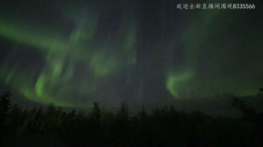 护法惊丶发布了一个斗鱼视频2020-03-17
