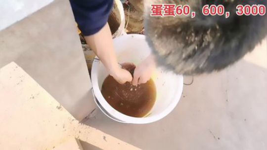 丿Good丶发布了一个斗鱼视频2020-03-17