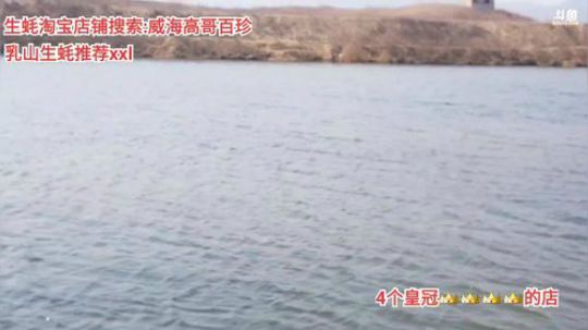 西北老狼哥哥发布了一个斗鱼视频2020-03-17