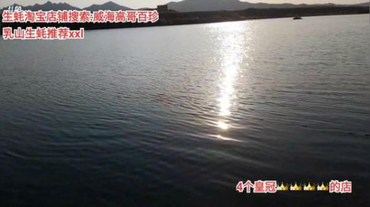 龙马精神丶老狼哥发布了一个斗鱼视频2020-03-17