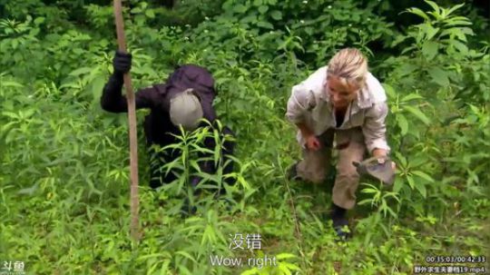 静思世语发布了一个斗鱼视频2020-03-17