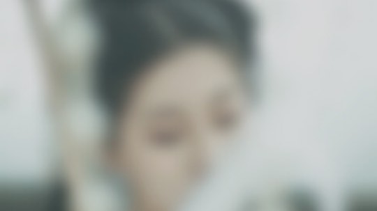 去年的春天拍的 今天白天出去拍照 成都的花