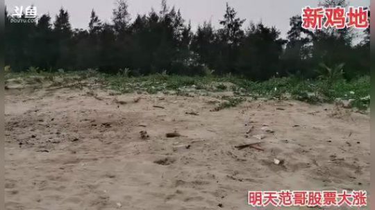 爱喝百事可乐D周星星发布了一个斗鱼视频2020-03-18
