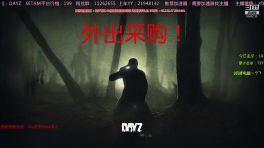 10年DAYZ技术主播有问题问主播 2020-03-17 17点场