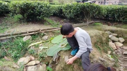 快乐的一天 337852 2020-03-16 11点场