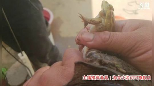 十一郎君01发布了一个斗鱼视频2020-03-18