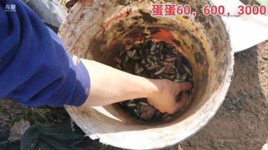 哆啦爱梦梦发布了一个斗鱼视频2020-03-18