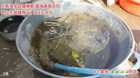 西北老狼哥哥发布了一个斗鱼视频2020-03-18