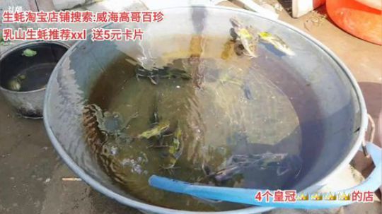 西北老狼哥哥发布了一个斗鱼视频2020-03-18