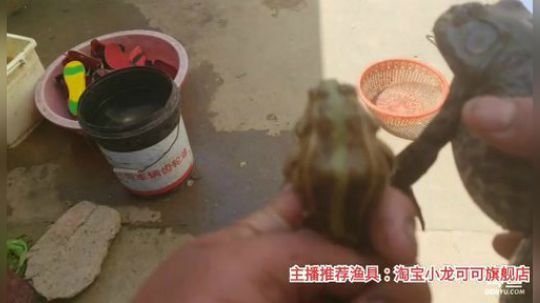 十一郎君01发布了一个斗鱼视频2020-03-18