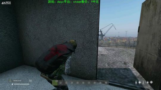 dayz(僵尸末日生存指南） 2020-03-17 23点场
