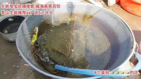 西北老狼哥哥发布了一个斗鱼视频2020-03-18