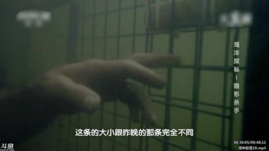 护法惊丶发布了一个斗鱼视频2020-03-19