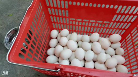 天气挺好下水摸鱼。 2020-03-19 10点场