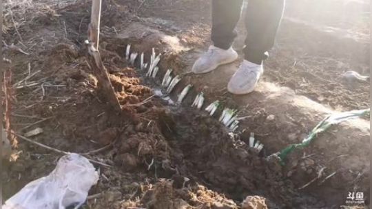 科头溜子发布了一个斗鱼视频2020-03-19