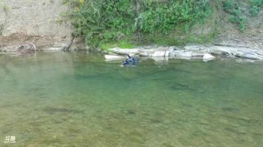 天气挺好下水摸鱼。 2020-03-19 14点场