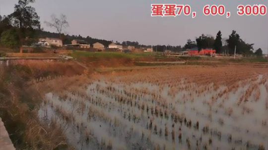 丿Good丶发布了一个斗鱼视频2020-03-20