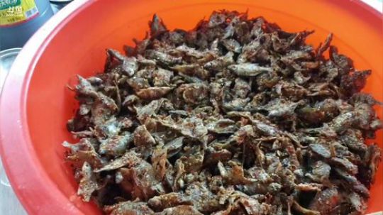 开心打野快乐美食。 2020-03-20 13点场