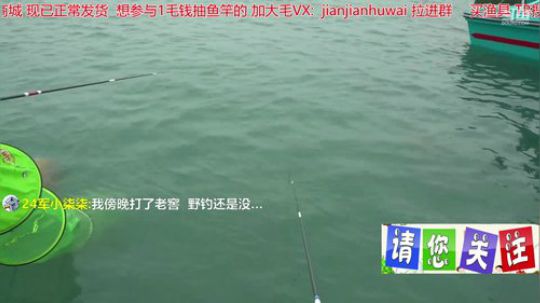 我在斗鱼看贱贱钓鱼直播乡野