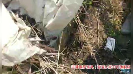 十一郎君01发布了一个斗鱼视频2020-03-21