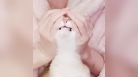 话说龙之丞和龙之进到底是什么关系？