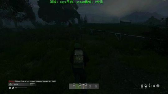 dayz(僵尸末日生存指南） 2020-03-20 16点场