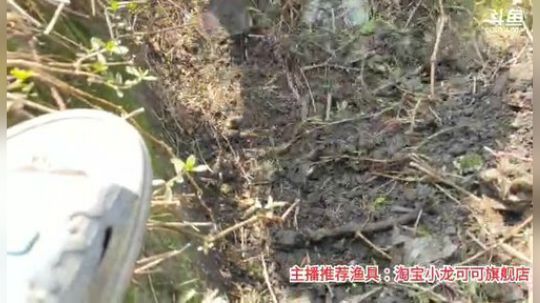十一郎君01发布了一个斗鱼视频2020-03-21