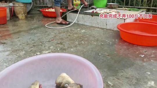 水库晚上可以弄巨货？？ 2020-03-21 11点场