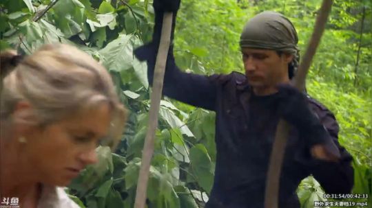 静思世语发布了一个斗鱼视频2020-03-22